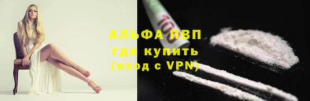 кокс Алзамай