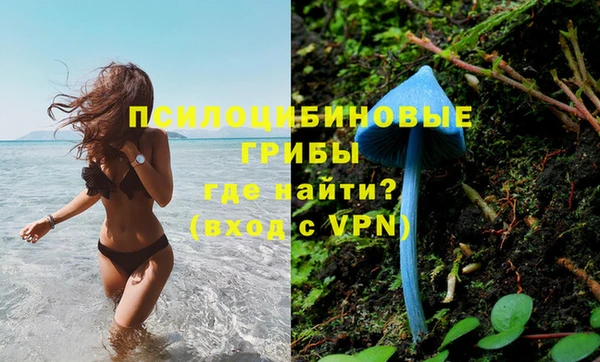крисы Абдулино