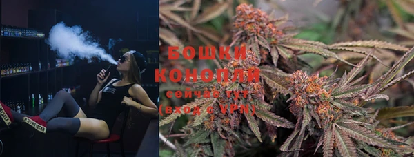 ПСИЛОЦИБИНОВЫЕ ГРИБЫ Абаза