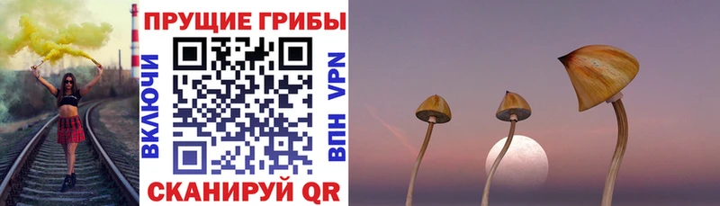Псилоцибиновые грибы Magic Shrooms Губкин