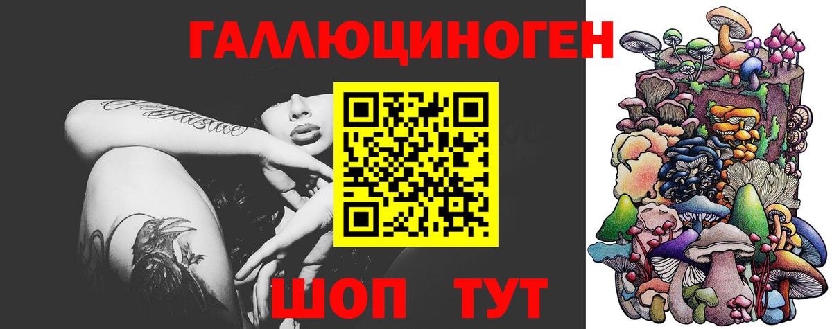 Псилоцибиновые грибы мухоморы Губкин